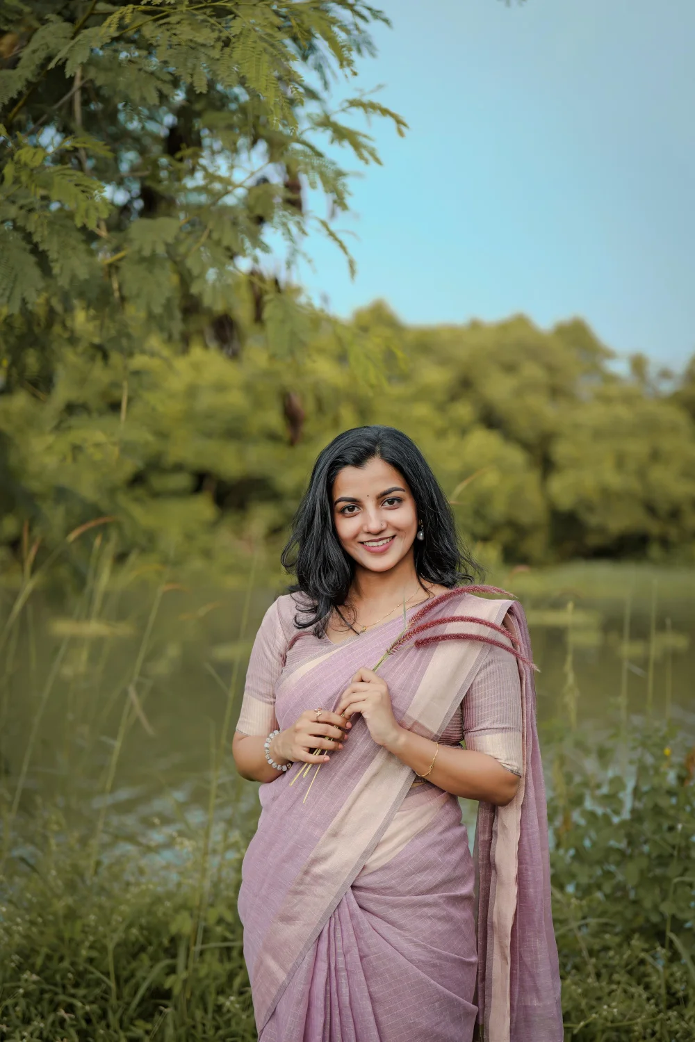 Premium Tissue Cotton Blend Traditional Saree -Lavender Pink, Solid Pattern