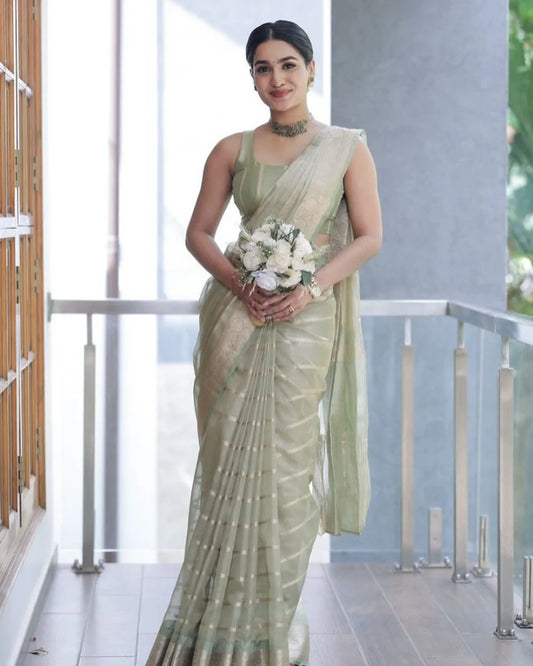 Premium Organza Fabric - 6.25 Meters - Olive Green Color